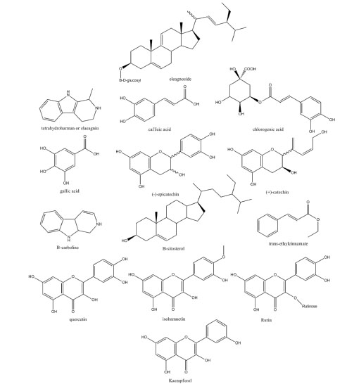 bi-6-155-g002