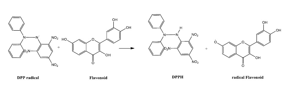 bi-6-155-g005