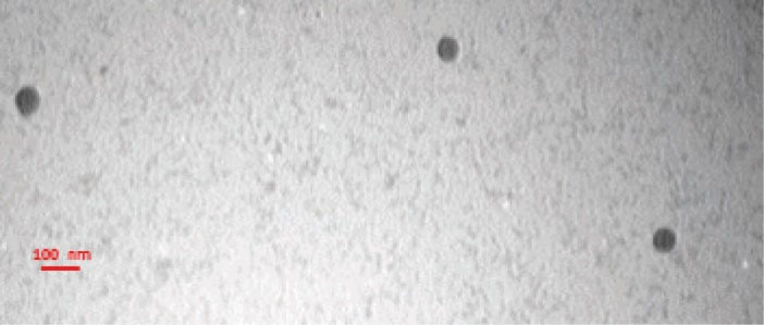 bi-7-155-g010