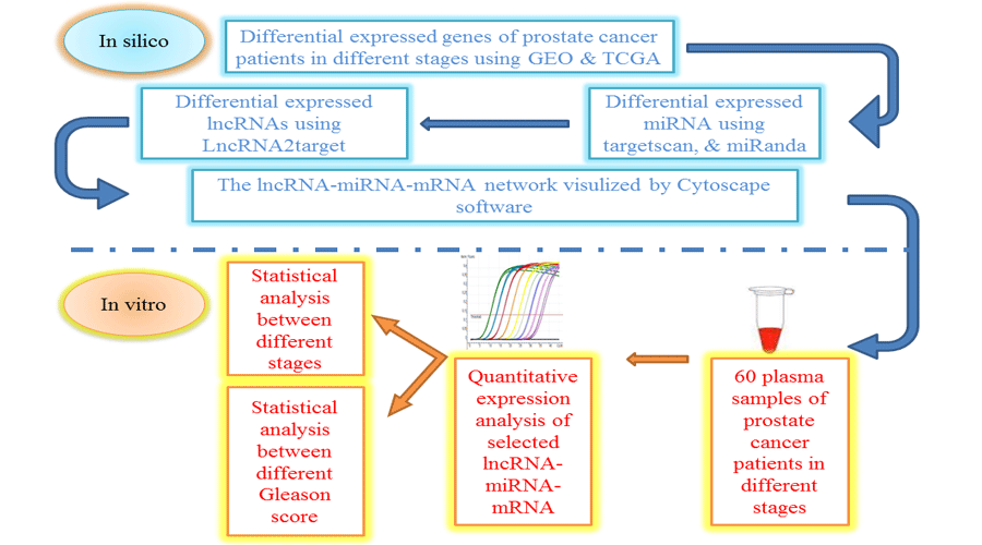 Graphical Abstract