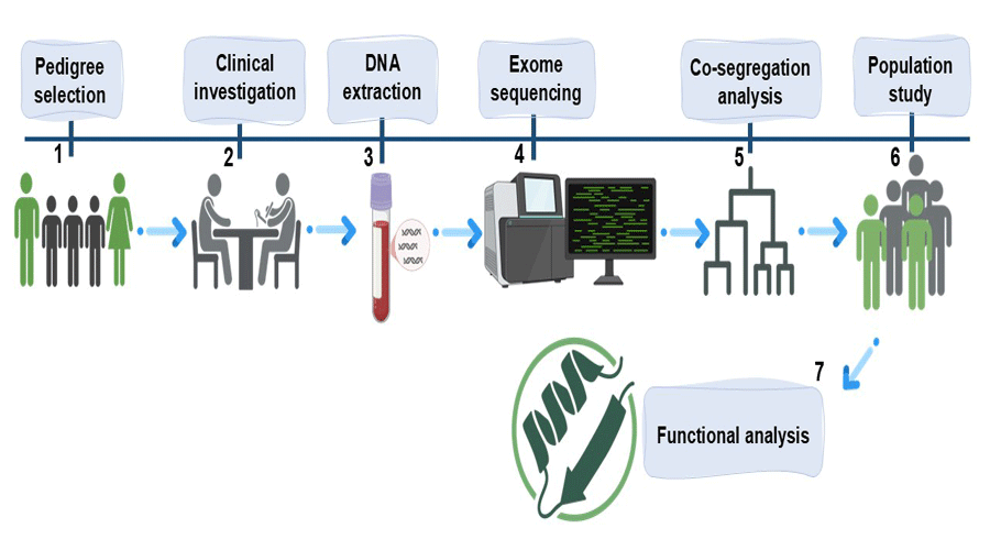 Graphical Abstract