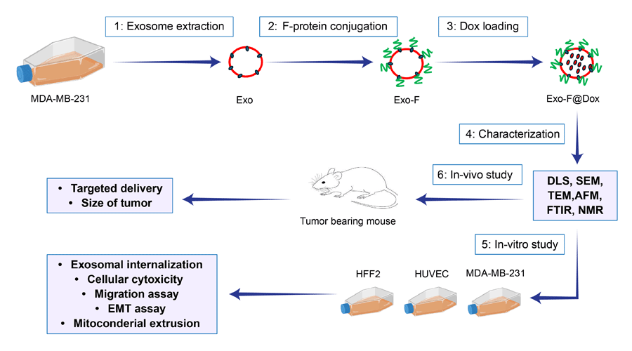 Graphical Abstract