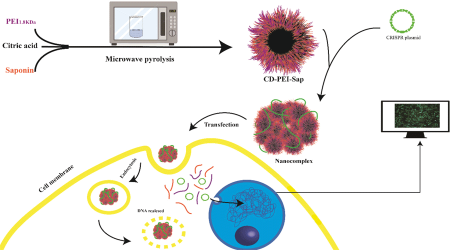 Graphical Abstract