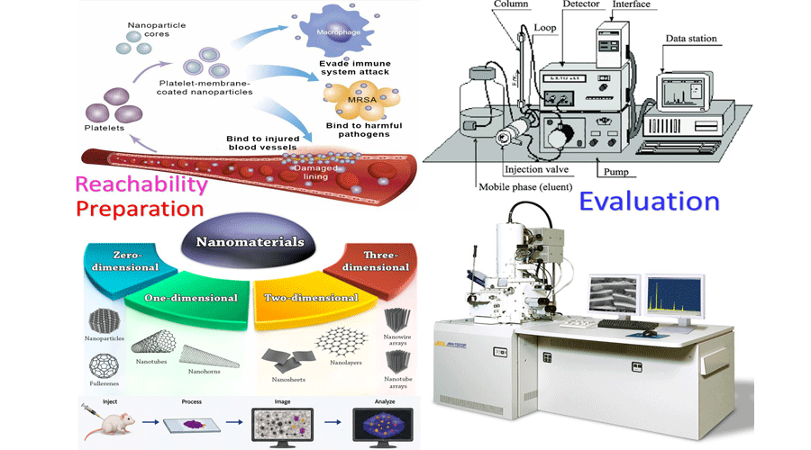 Graphical Abstract