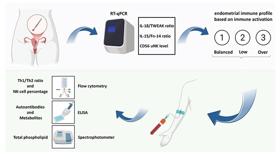 Graphical Abstract