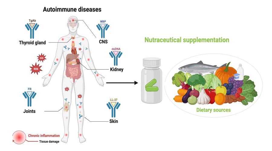 Graphical Abstract