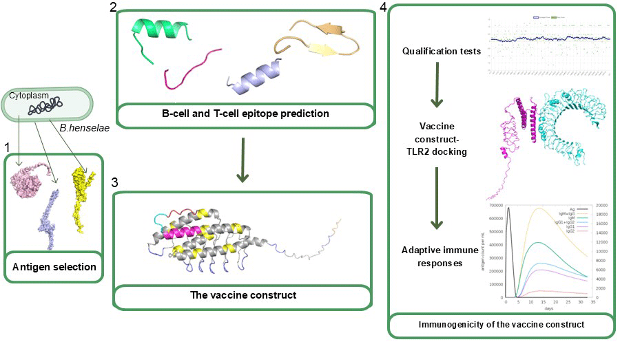 Graphical Abstract