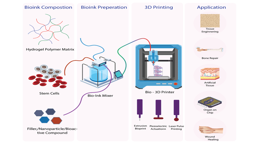 Graphical Abstract
