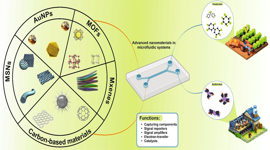 Graphical Abstract