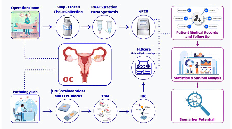 Graphical Abstract